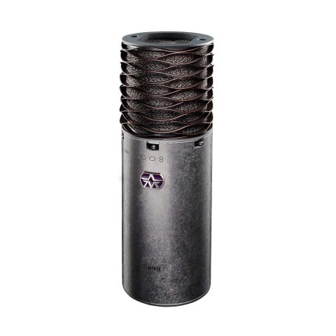 Large diaphragm multi-pattern microphone