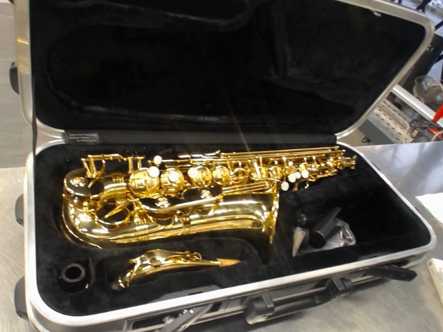 Saxophone alto carlton+case transport