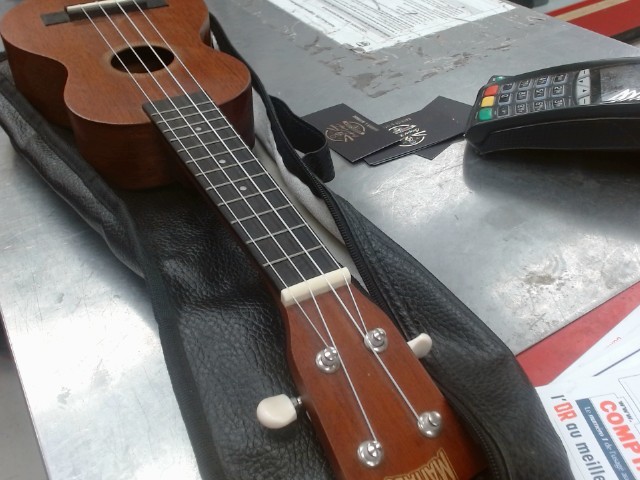 Ukulele + sac