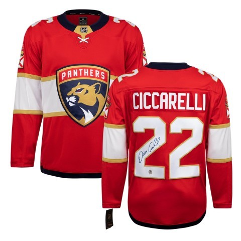 Florida panthers dino ciccarelli jersey
