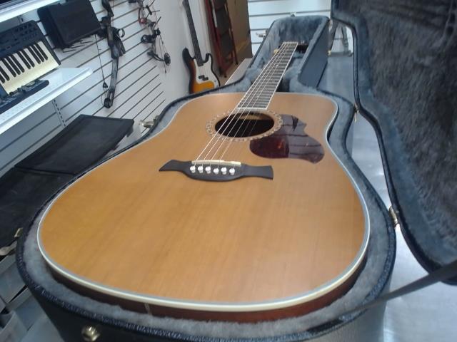 Guitare accoustique dans case