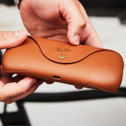 Rayban meta wayfarer danscase