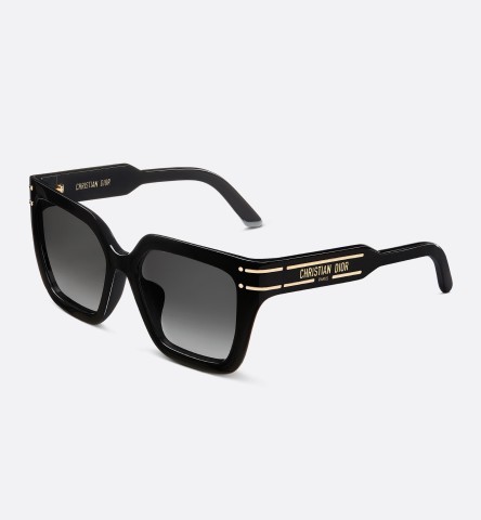 Dior signature sunglasses