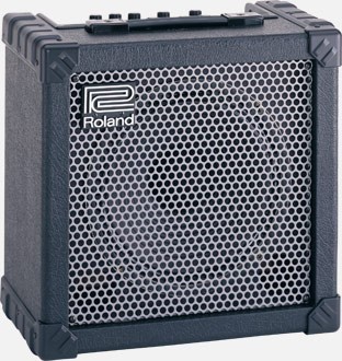 Roland cube30