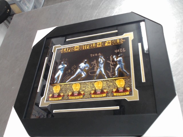 Cadre signer(expos outfield of gold)