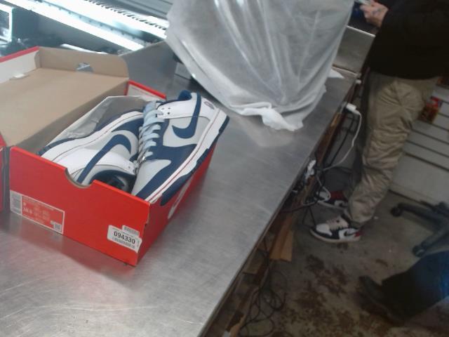 Nike dunk low retro emb