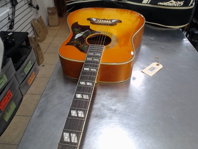 Guitare accoustique pigeon ds case