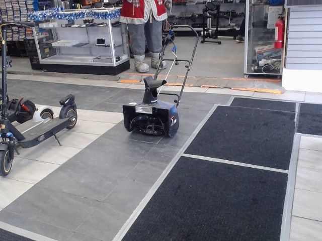 Souffleuse bleu snowjoe