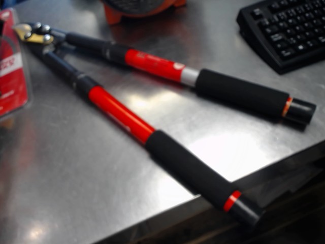 Corona extensible shears