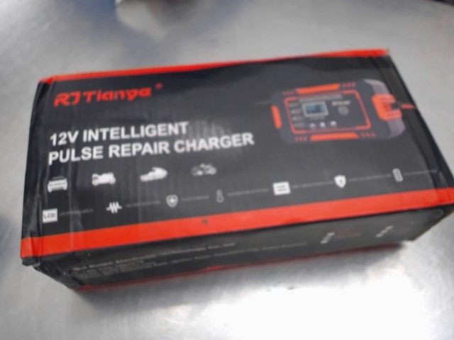 12v intelligent pulse repair charger