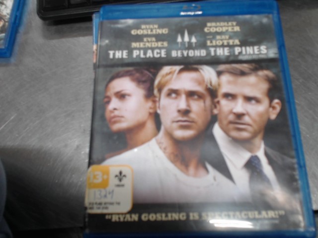 The place beyond the pines