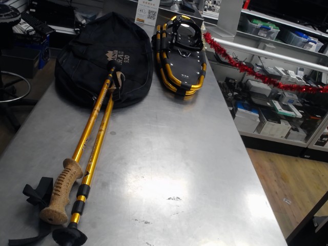 Raquette de neige avec baton de marche