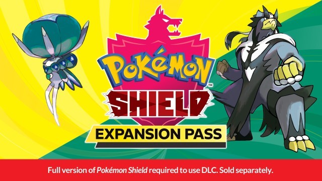 Pokemon shield (no box)