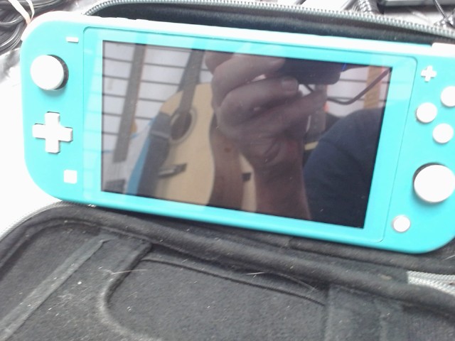 Switch lite  green + charger