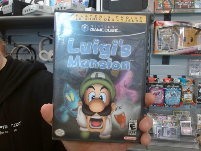 Luigi's mansion