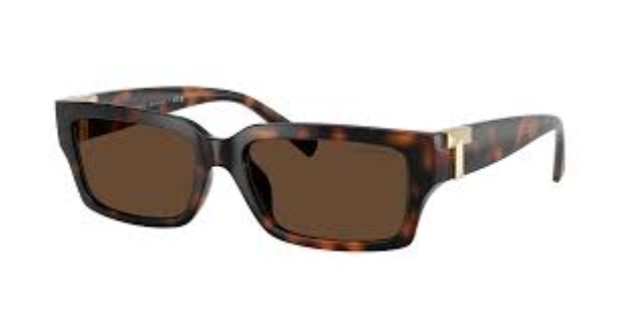 Tifanny brown square sunglasses