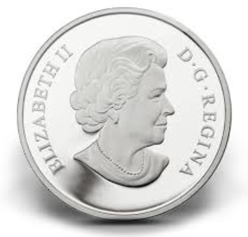 Annee lu naire silver coin