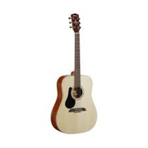 Guitare acoustique dans case mou
