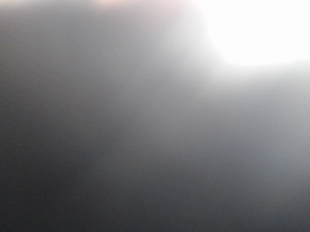 Mngoose disturb rouge