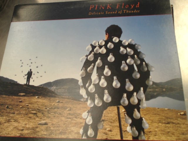 Pink floyd delicate sound of thunder