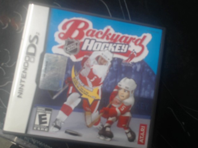 Backyard hockey nhl