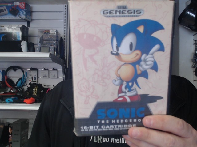 Sonic the hedgehog