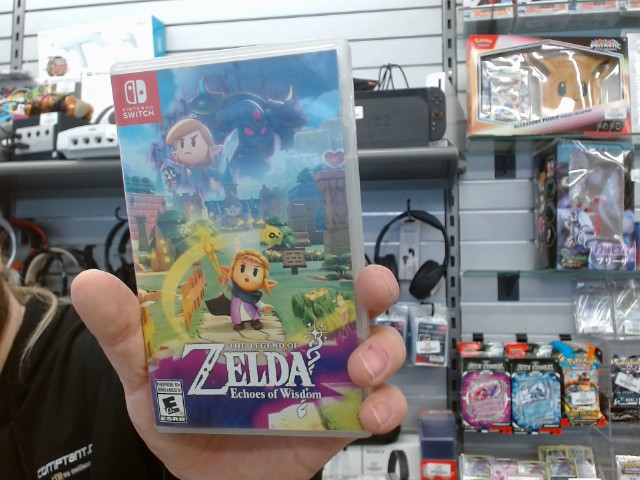 Zelda echos of wisdom