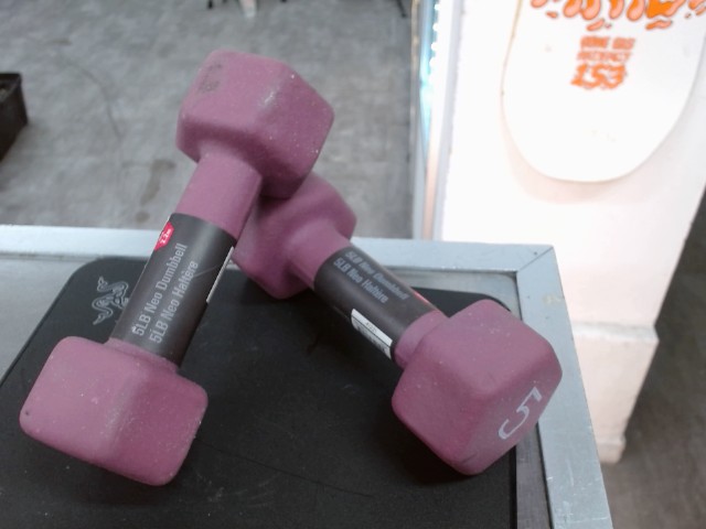Pair de dumbel 5lb mauve