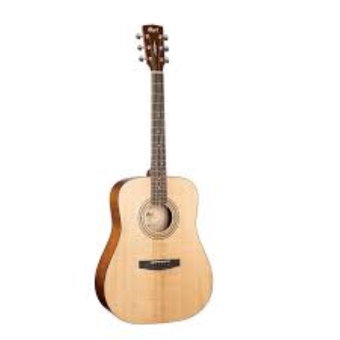 Guitare acoutisque earth op pack