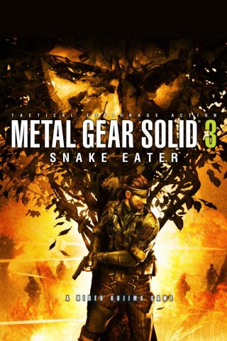 Metal gear solid 3 ps2