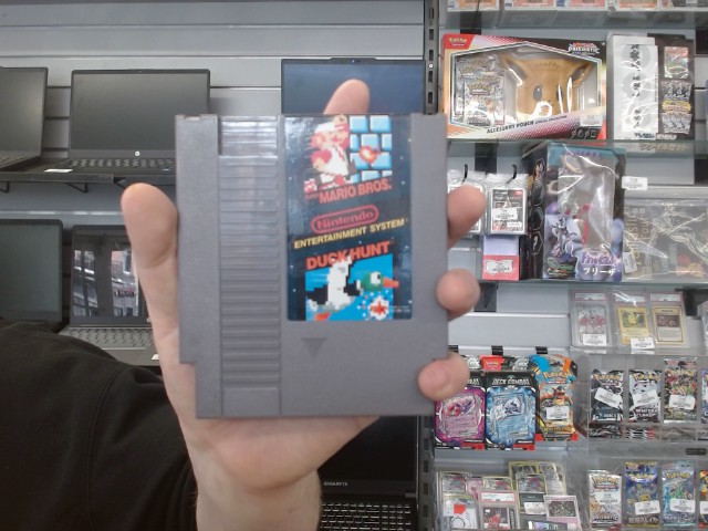 Mario bros duck hunt