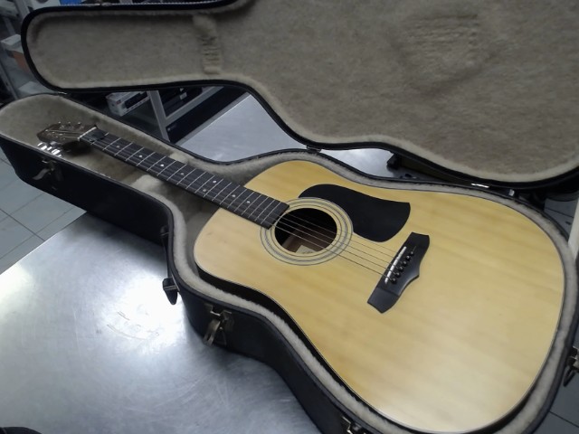 Guitar accoustique ania + case