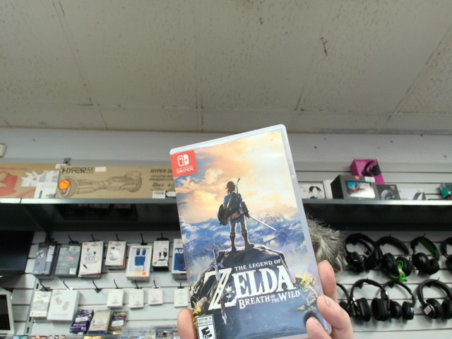 The legend of zelda breath of wild