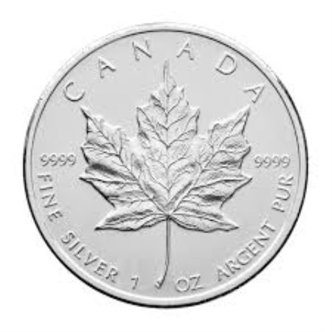 Coin en argent 1 ounce