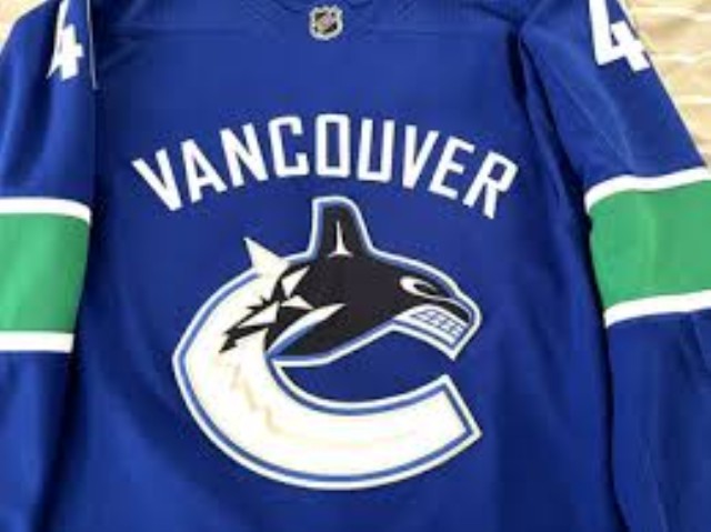 Jersey elias petersson official size 54