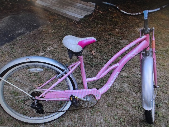 Shwinn roxie rose pas de siege rouiller