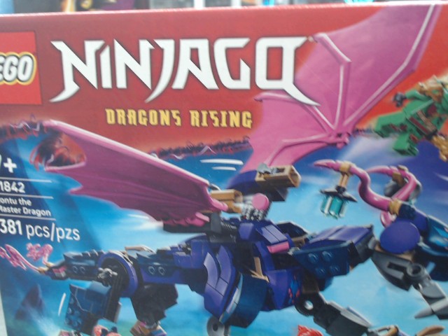 Rontu le maitre dragon