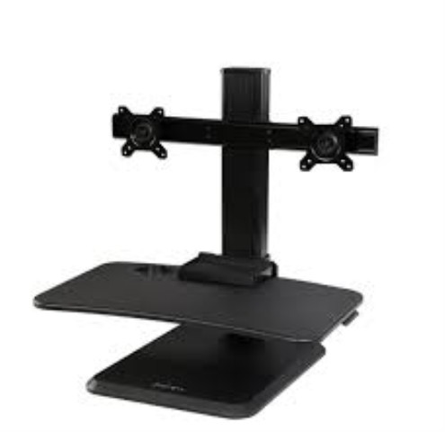 Dual motitor station