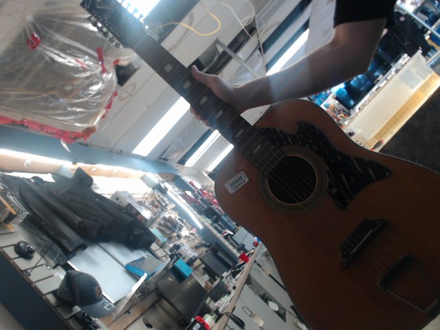 Guitare a 12 cordes