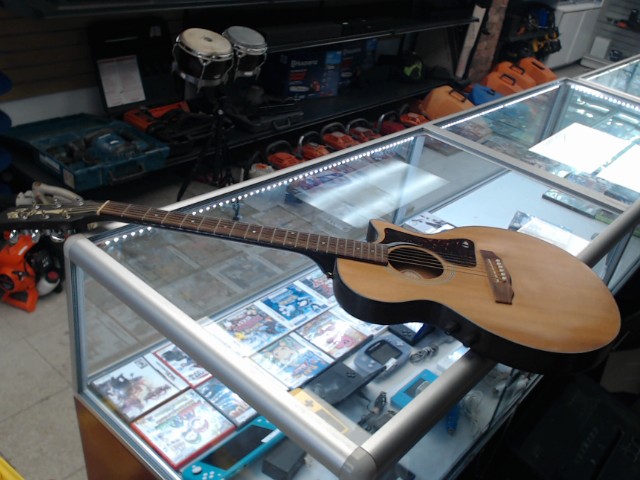 Guit elec-acoustique songbird guild