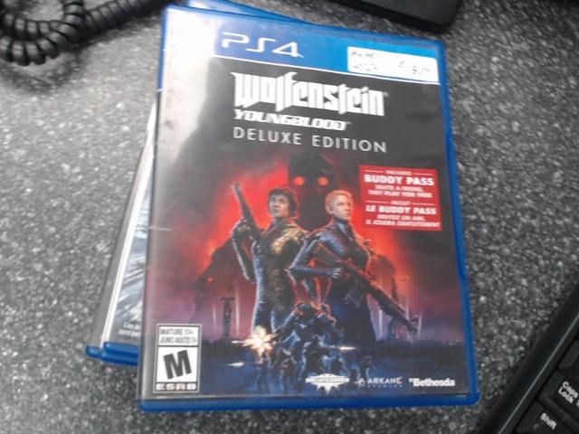 Wolfenstein youngblood ps4