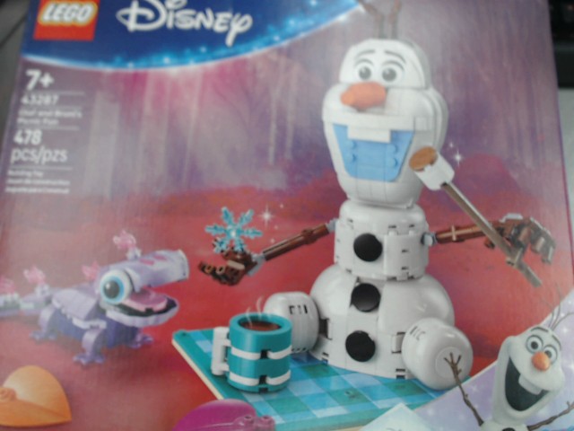 Olaf and bruni's picnic fun