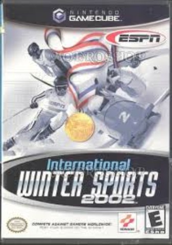 International winter sports 2002