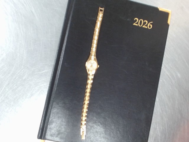 Montre pour femme style gold 44l34