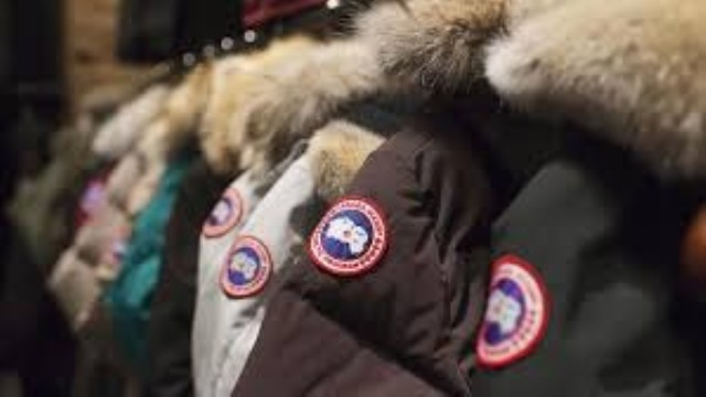 Manteau d hiver canada goose+cuir