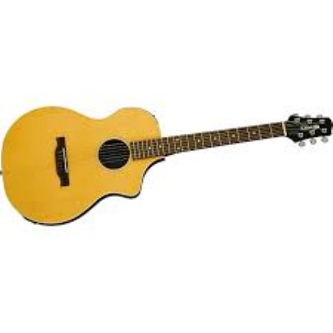 Guitar acoustic 300