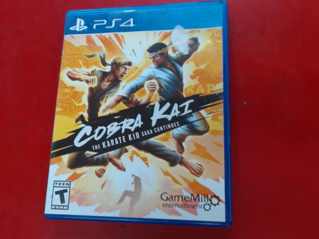 Cobra kai the karate kid saga continues