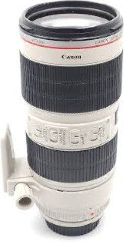 Lantille dans caisse beige ii