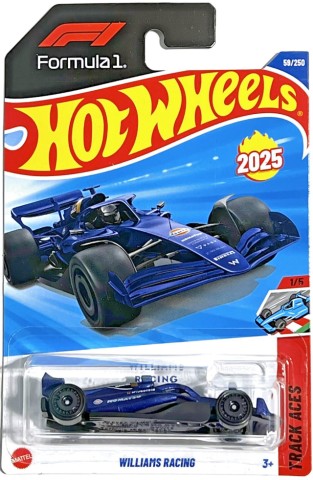 Hot wheels f1 williams racing