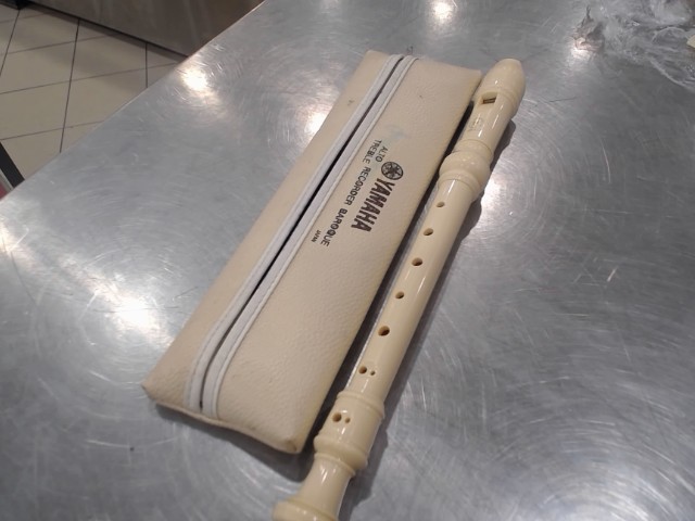 Flute 3 pcs avec etui